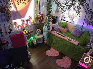 voyeurcam-veccasalt-01