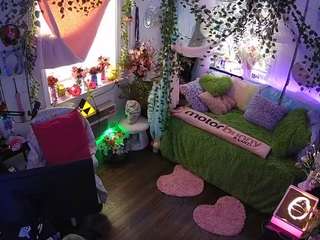 voyeurcam-veccasalt-01 webcam