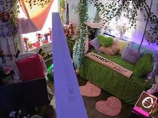 voyeurcam-veccasalt-01 webcam