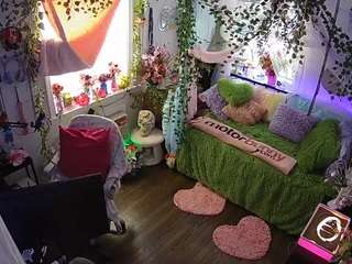 voyeurcam-veccasalt-01 webcam