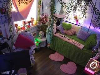 voyeurcam-veccasalt-01