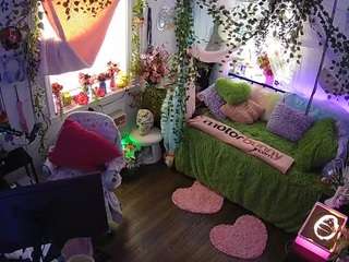 voyeurcam-veccasalt-01 webcam