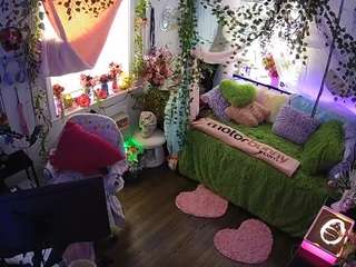 voyeurcam-veccasalt-01 webcam