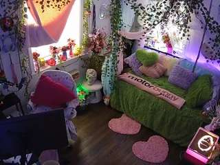 voyeurcam-veccasalt-01 webcam