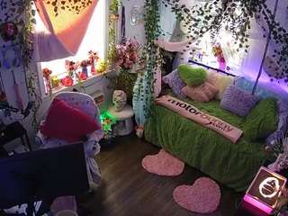 voyeurcam-veccasalt-01 webcam