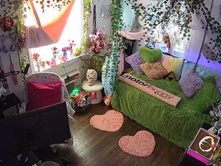 voyeurcam-veccasalt-01 webcam