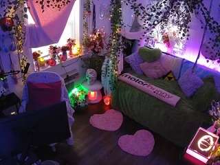 voyeurcam-veccasalt-01 webcam