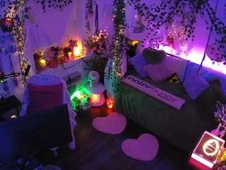 voyeurcam-veccasalt-01 webcam