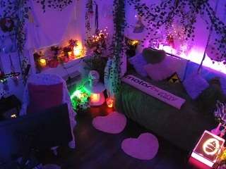 voyeurcam-veccasalt-01