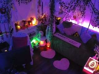 voyeurcam-veccasalt-01 webcam