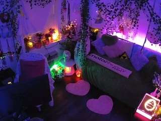 voyeurcam-veccasalt-01 webcam