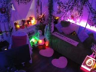 voyeurcam-veccasalt-01's CamSoda show and profile