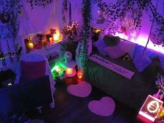 voyeurcam-veccasalt-01 webcam