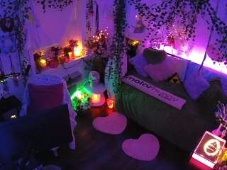 voyeurcam-veccasalt-01