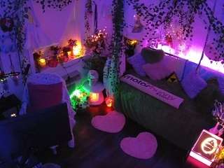 voyeurcam-veccasalt-01