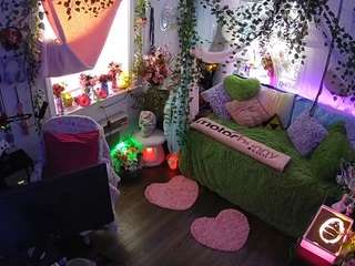 voyeurcam-veccasalt-01