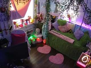 voyeurcam-veccasalt-01 webcam