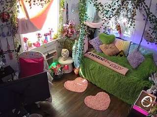 voyeurcam-veccasalt-01 webcam