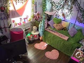 voyeurcam-veccasalt-01 webcam