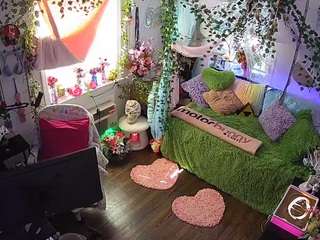 voyeurcam-veccasalt-01 webcam