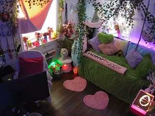 voyeurcam-veccasalt-01 webcam