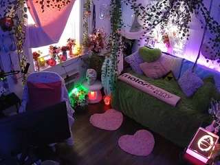 voyeurcam-veccasalt-01 webcam