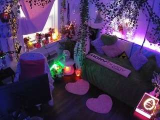 voyeurcam-veccasalt-01 webcam