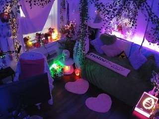 voyeurcam-veccasalt-01 webcam