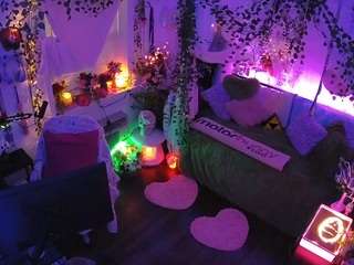 voyeurcam-veccasalt-01 webcam