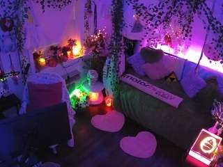 voyeurcam-veccasalt-01 webcam