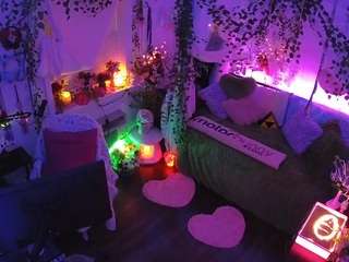 voyeurcam veccasalt 01