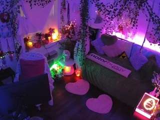 voyeurcam-veccasalt-01 webcam