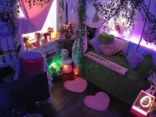 voyeurcam-veccasalt-01 webcam