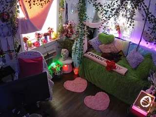 voyeurcam-veccasalt-01 webcam