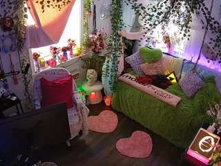 voyeurcam-veccasalt-01 webcam