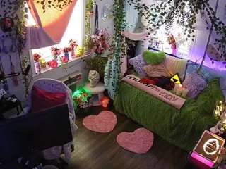 voyeurcam-veccasalt-01 webcam