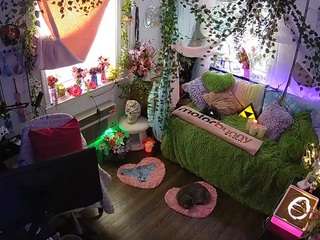 voyeurcam-veccasalt-01 webcam