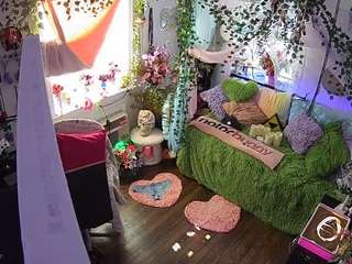 voyeurcam-veccasalt-01 webcam