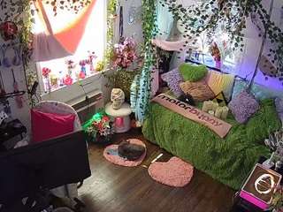 voyeurcam-veccasalt-01 webcam