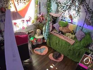 voyeurcam-veccasalt-01 webcam