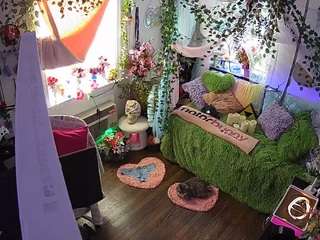 voyeurcam-veccasalt-01's CamSoda show and profile