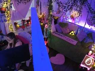 voyeurcam-veccasalt-01 webcam