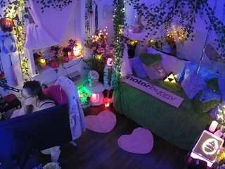 voyeurcam-veccasalt-01 webcam