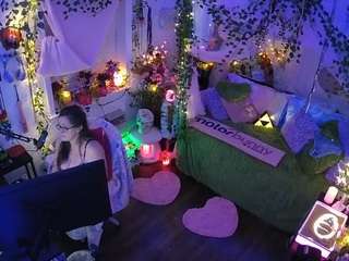 voyeurcam-veccasalt-01 webcam