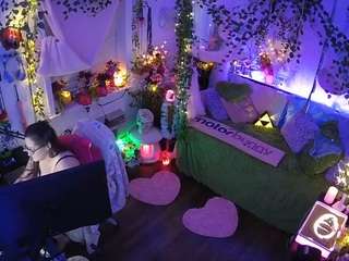 voyeurcam-veccasalt-01 webcam