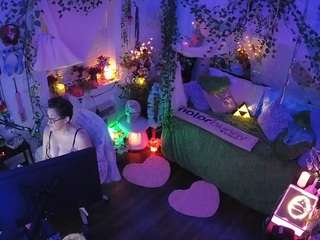 voyeurcam-veccasalt-01