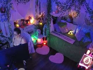 voyeurcam-veccasalt-01 webcam