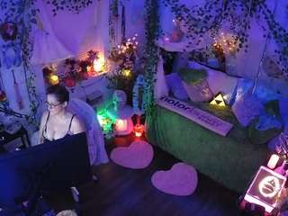 voyeurcam-veccasalt-01 webcam