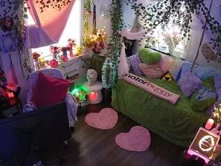 voyeurcam-veccasalt-01 webcam