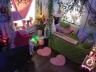 voyeurcam-veccasalt-01 webcam